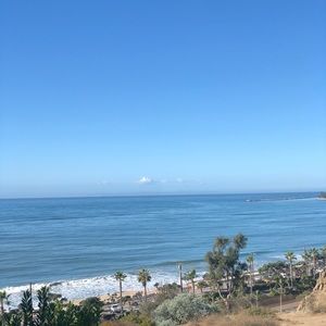 Meet your Posher, Alexa